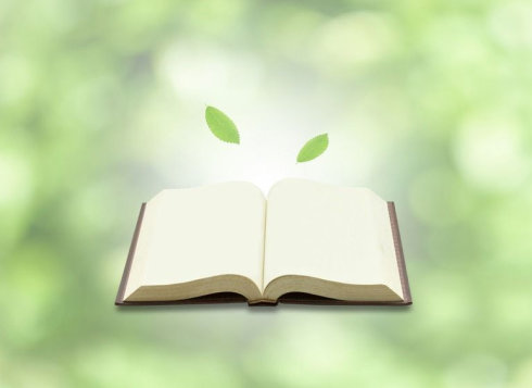 上海小学教师资格证面试流程