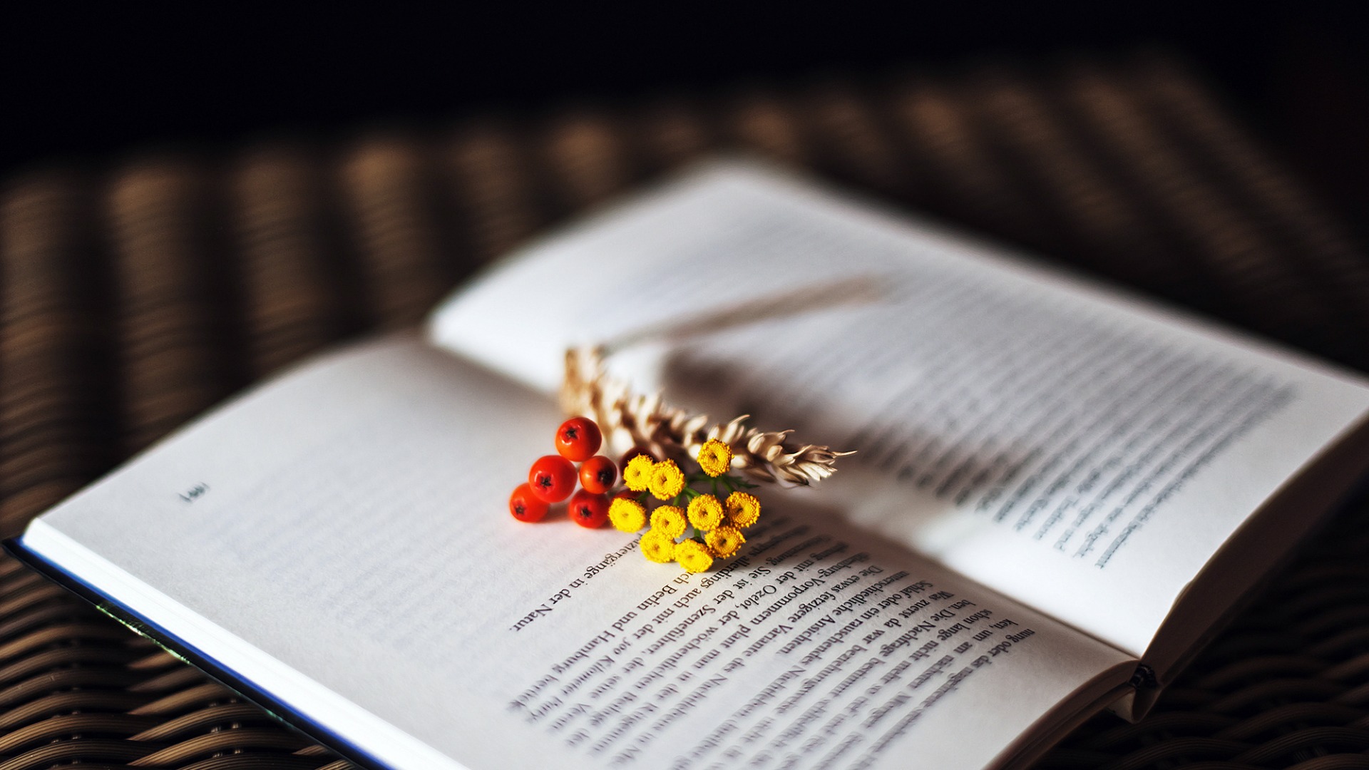 听说教师待遇又要提高了？这是真的吗？