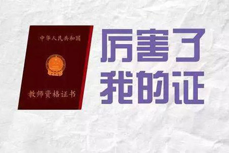 上海幼儿教师资格证 学科之分