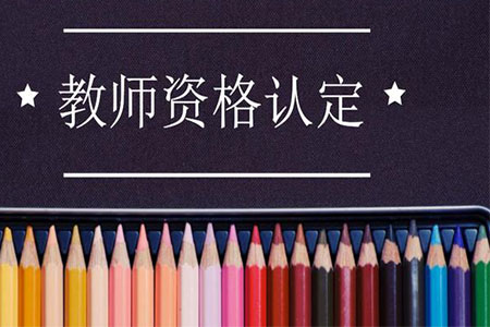 上海教师资格认定申请表 双面打印