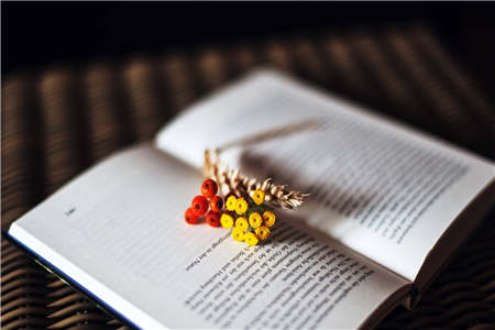 上海教师资格证 笔试复习 误区