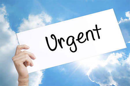 2019 上海教师资格证考试时间安排