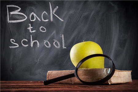 2019 上海市浦东新区教师招聘 报考疑问