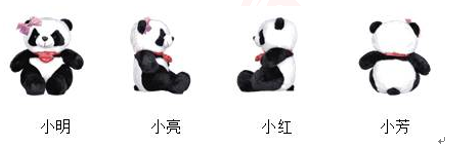 2019上半年上海教师资格证小学面试真题：观察物体