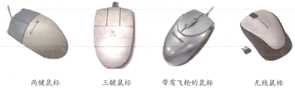 2019上半年上海教师资格证小学面试真题：认识鼠标