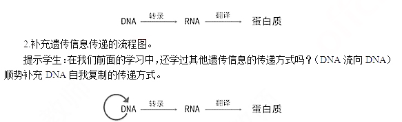 2019上半年上海教师资格证高中面试真题:中心法则的提出及其发展