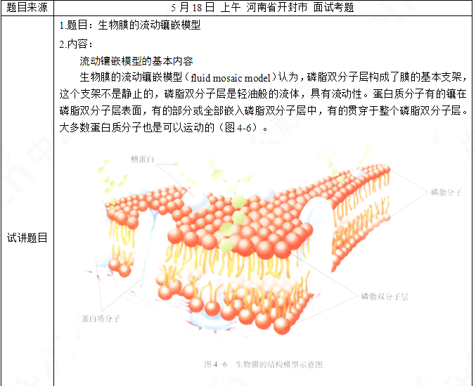2019上半年上海教师资格证高中面试真题：生物膜的流动镶嵌模型