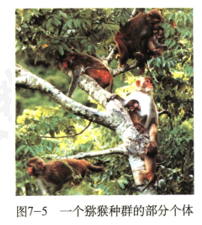 2019上半年上海教师资格证高中面试真题：种群是生物进化的基本单位