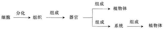 2019年上海教师资格证中学综合素质考点:生活中的科学常识集萃