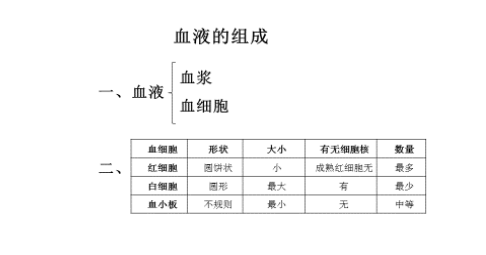 2020年上半年教师资格中学面试：《血液的组成》教案