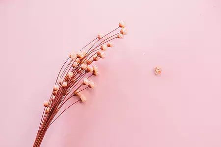 上海教师普通话资格证书会过期吗?丢了是否有影响?