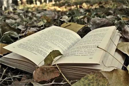 上海教资笔试考试推迟后，考生该做些什么准备