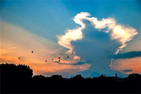 上海教师资格面试技巧:《装饰小瓶罐》教学设计