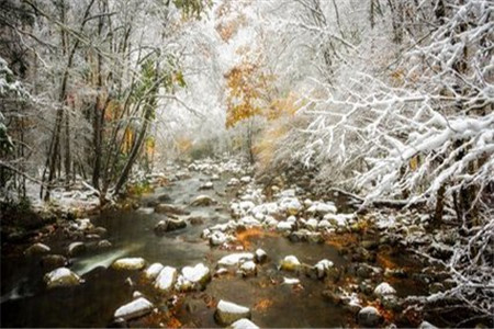 上海教师资格的凭证是什么？