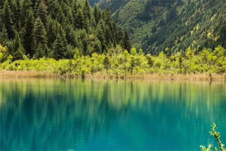 2020年上海幼儿教资面试结构化你不得不知的小事