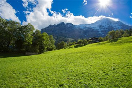 上海教师资格证考试难吗？