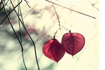 上海教师资格笔试考什么内容？