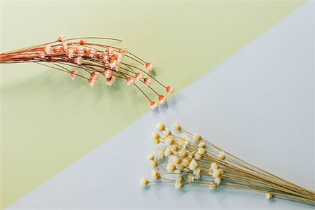 上海教师资格笔试考什么？