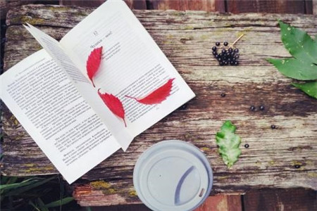 上海教师资格证认定条件有哪些？