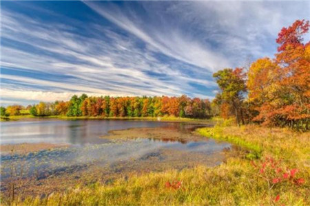 上海初中英语教师资格证不报辅导班难考吗?