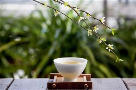 报考上海教师资格证有没有年龄限制?