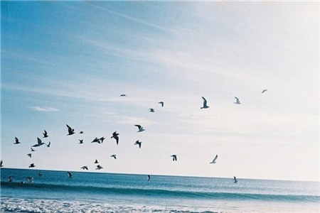 上海教师资格证的种类有哪些？