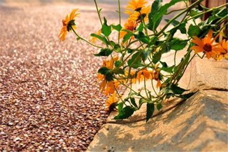 上海市教师资格证认定需要普通话证书吗?