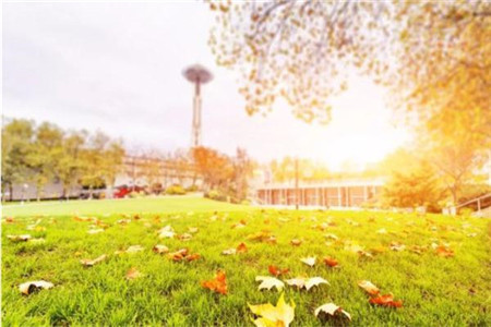 上海教师资格证丢失了如何查询编号?