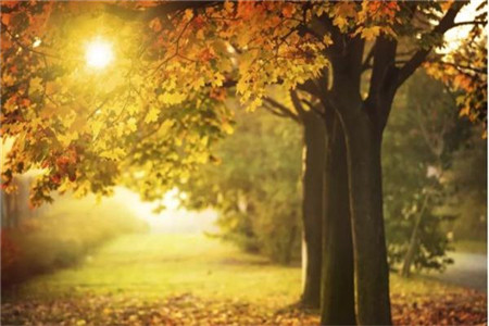 黄浦区教师资格考试考哪些科目吗?