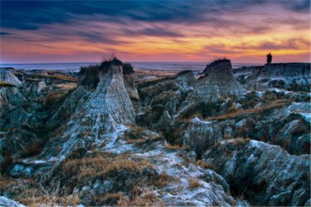 上海市教师资格证大几可以考?