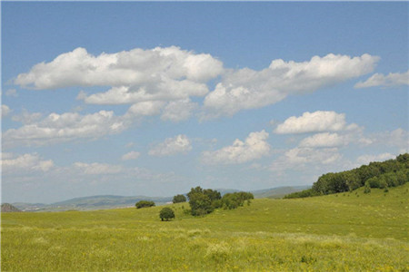 普通话二级乙等可以考上海教师资格证吗?