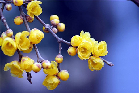 上海体育教师资格证要考哪些内容?