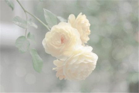上海教师招聘就是入编考试吗?