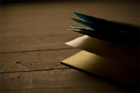 2020下半年普陀小学教师资格证报考条件