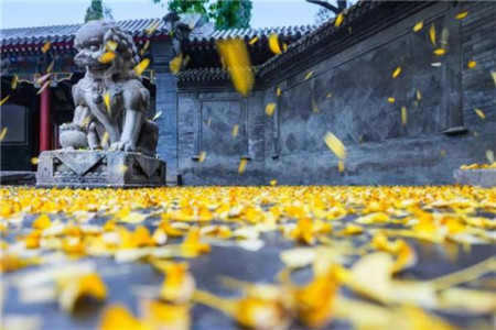 上海小学和初中教师资格证能同时报考吗?