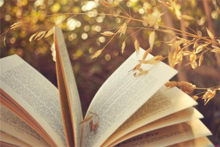 报考上海小学语文教师资格证要做什么准备?