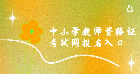 中小学教师资格证考试网报名入口