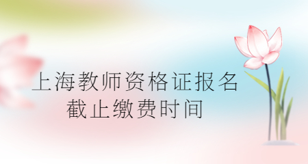 上海教师资格证报名